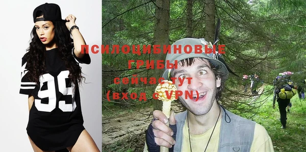 гашик Карталы