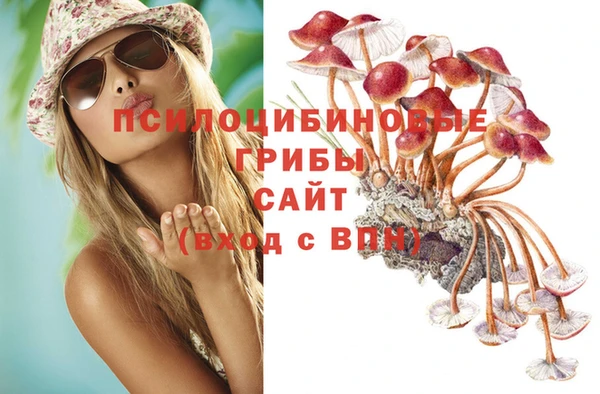 меф Касимов