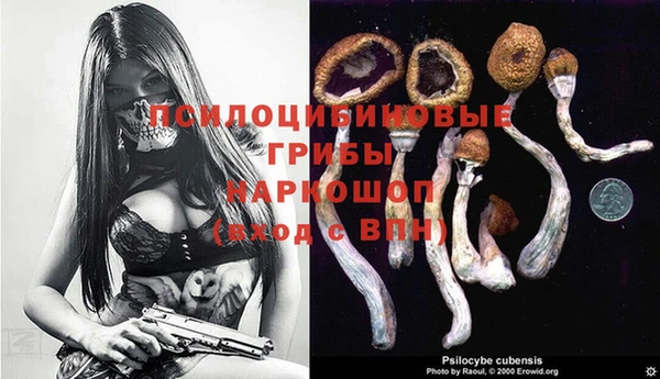 гашик Карталы
